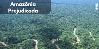 Pesquisa comprova que aumento na poluição atinge a floresta amazônica